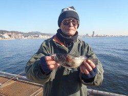 神戸市立須磨海釣り公園、良型のメバルも釣れています