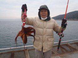 1.5kgのマダコ！須磨海釣り公園でテンヤ釣り