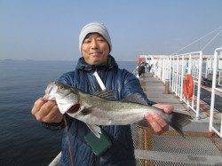 尼崎市魚つり公園　ウキ釣りでハネ＆チヌの釣果
