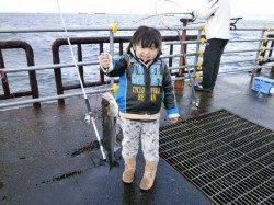 50cm級のハネ2本！ 大阪南港魚つり園