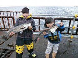 50cm級のハネ2本！ 大阪南港魚つり園
