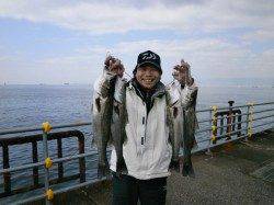 ハネ大漁です！　 大阪南港魚つり園