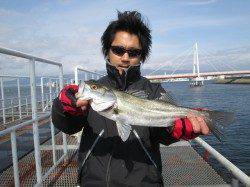 尼崎市立魚つり公園ハネ高活性でアタリが頻発！