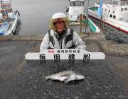 チヌ47cmの釣果 in 黒島の筏