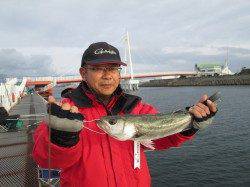 尼崎市魚つり公園　ハネ・セイゴ・チヌの釣果