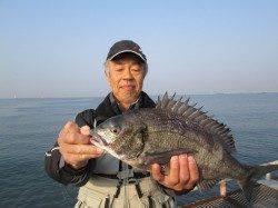 尼崎市魚つり公園　今日もハネ＆チヌの釣果あり
