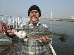 ズボ釣りで５４.５ｃｍのハネ、尼崎市魚つり公園