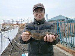 状況厳しい中での良型アイナメ　大阪南港魚つり園