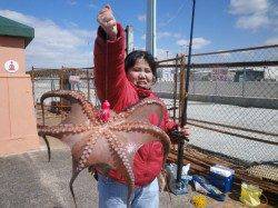 南港海釣り公園　タコジグでタコ1.8kg　他魚種は色々釣れました