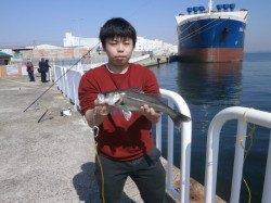 大阪南港魚つり園、ウキ釣りでハネあがってます