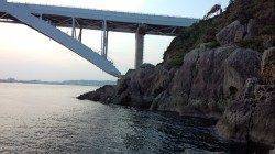 串本大島橋下でエギング！