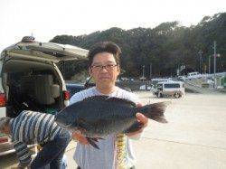 串本東部、双子の親では40cmオーバーのグレも釣れています！