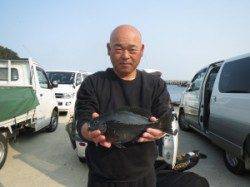 沖の赤島の釣果です☆グレの他にイサギも釣れてました