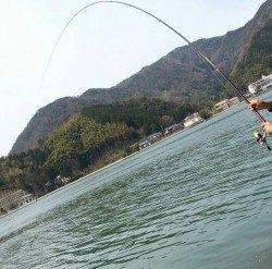 津居山港でフカセ釣り　自己記録更新の大物チヌ56cm！