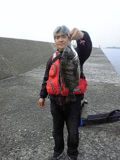 岸和田旧一文字のチヌ落とし込み・ウキ釣りで釣果出てます