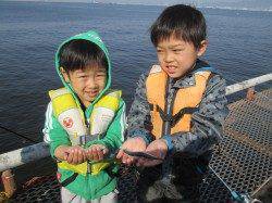 尼崎市立魚つり公園、多くの家族連れの中イワシの回遊ありました