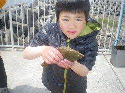 姫路市立遊魚センター　探り釣りでカレイがヒットしました