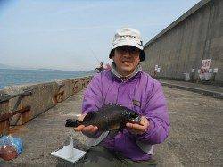 出ました尺サイズ！ 和歌山北港魚つり公園でメバル30.5cm