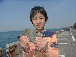良型カワハギ釣れました☆和歌山北港魚つり公園