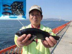 平磯海づり公園　ウキ釣りでメバル大漁！