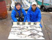 黒島の磯でチヌ、鷹島のカンドリでグレ・サヨリ