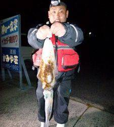 沖一文字半夜釣りでアオリイカ1.3kg！