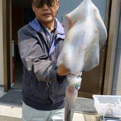 湯浅の磯大型アオリイカ〜ウキ釣りで2.53kg&ヤエンで2.07kg！