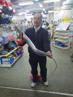 田辺市天神崎にて指６本の太刀魚！ よく引きました！
