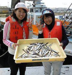 岸和田一文字　サビキでイワシの釣果