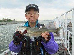 ズボ釣りで初ハネゲット♪ 尼崎市立魚つり公園