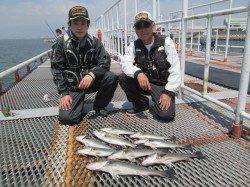 尼崎市立魚つり公園ウキ釣りでハネ・セイゴ