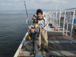 尼崎市魚つり公園　今日もイワシの大漁釣果