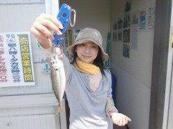 大阪南港魚つり園　サビキ釣りでアジがパラパラ釣れ出しています