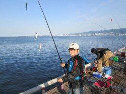 尼崎市立魚つり公園 朝からイワシが回遊して５～６連掛けの姿も♪