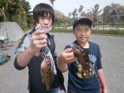 大阪南港魚つり園　サビキ釣りもうちょっと釣れてくれたら・・・