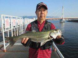 尼崎市魚つり公園　今日はハネ・セイゴ・チヌの釣果