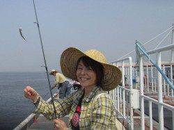 尼崎市立魚つり公園 カタクチイワシの釣果〜サビキは3号を使用