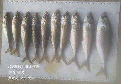 津居山にて良型アジ〜32cmの釣果