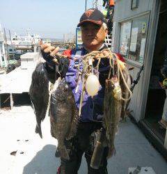 岸和田一文字、チヌ・ハネなど釣れています