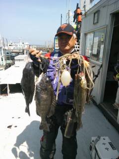 岸和田一文字、チヌ・ハネなど釣れています