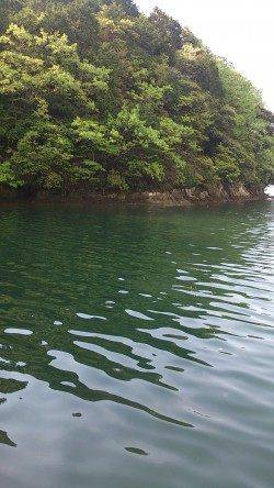 ＧＷ最終日〜水温低下で渋めでしたが淡路島のキス釣りに満足！