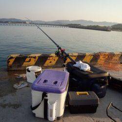 和歌山県の日高港へアオリイカのウキ釣りへ