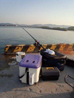 和歌山県の日高港へアオリイカのウキ釣りへ