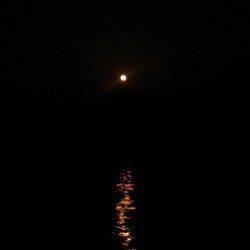 久美浜　大潮満月のエギング釣行