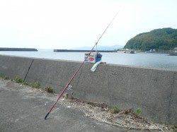 ＧＷ最終日〜水温低下で渋めでしたが淡路島のキス釣りに満足！