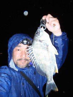 大阪南港 雨の中でしたがチニングでキビレ2匹