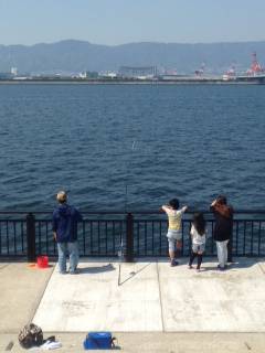 神戸空港での投げ釣り＆探り釣りの釣果