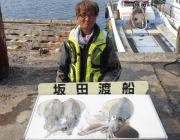 黒島の磯　ヤエン釣りでのアオリイカ〜1.8kg一人3バイ