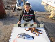 黒島の筏 良型チヌとタコ1.0kg