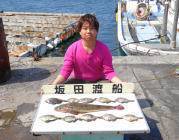 黒島の筏 アオイソメとアサリでカワハギ好釣果